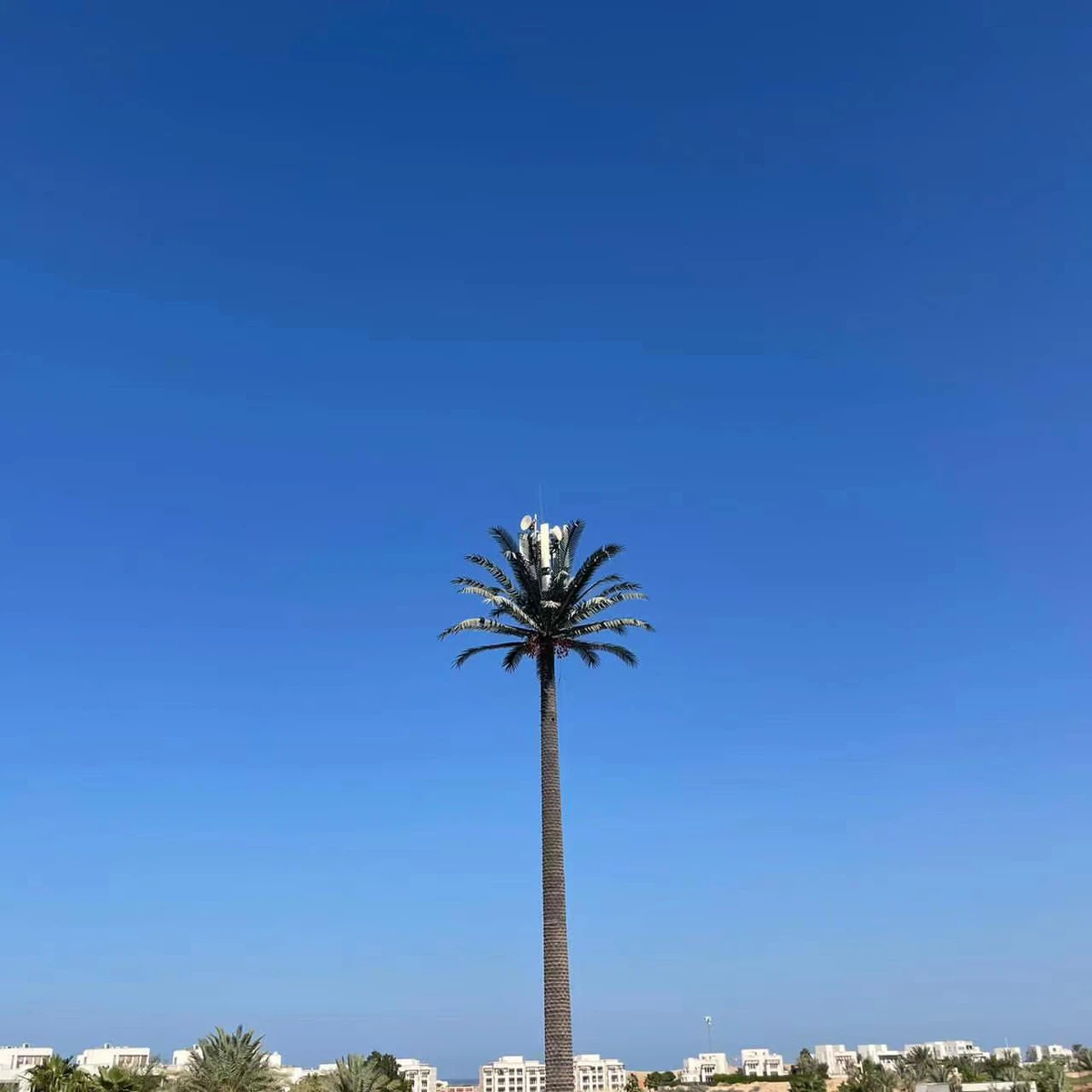 20230315115107 20230315115107