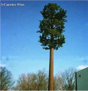 변장한 세포 모노팜 와이파이 타워