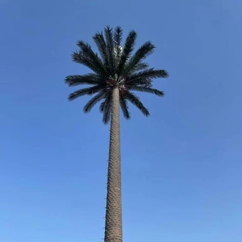위장 된 셀 타워